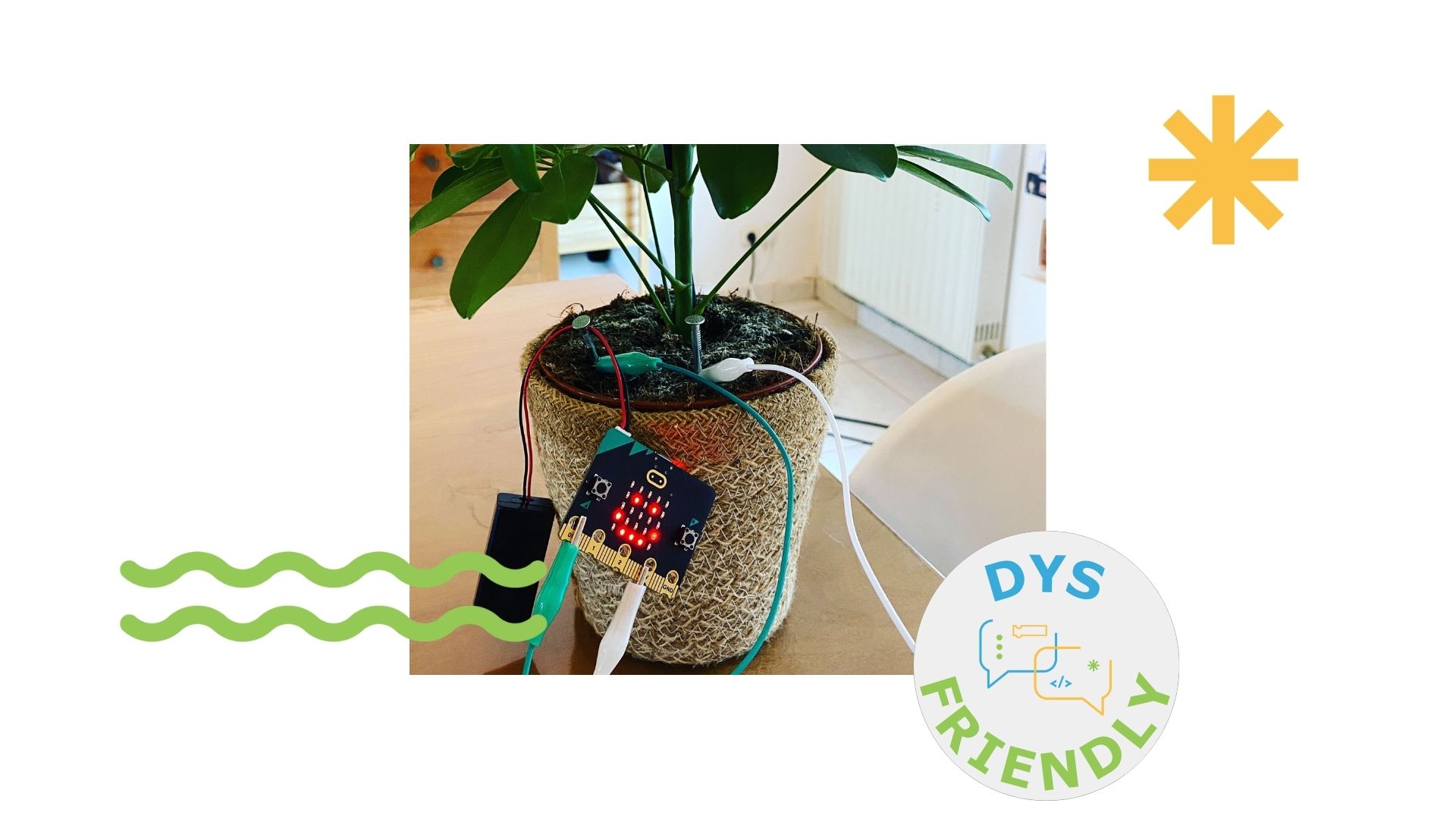 Lire la suite à propos de l’article Les plantes